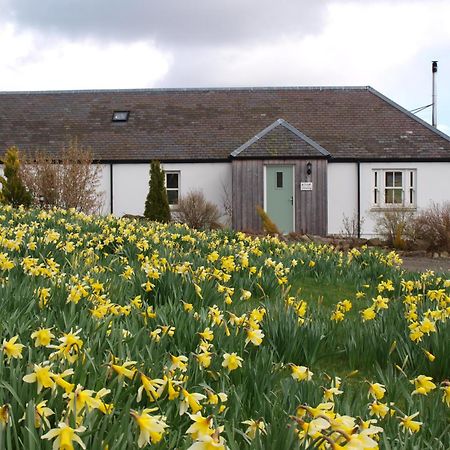 Dalnoid Cottages & Treehouses Nr Glenshee 外观 照片