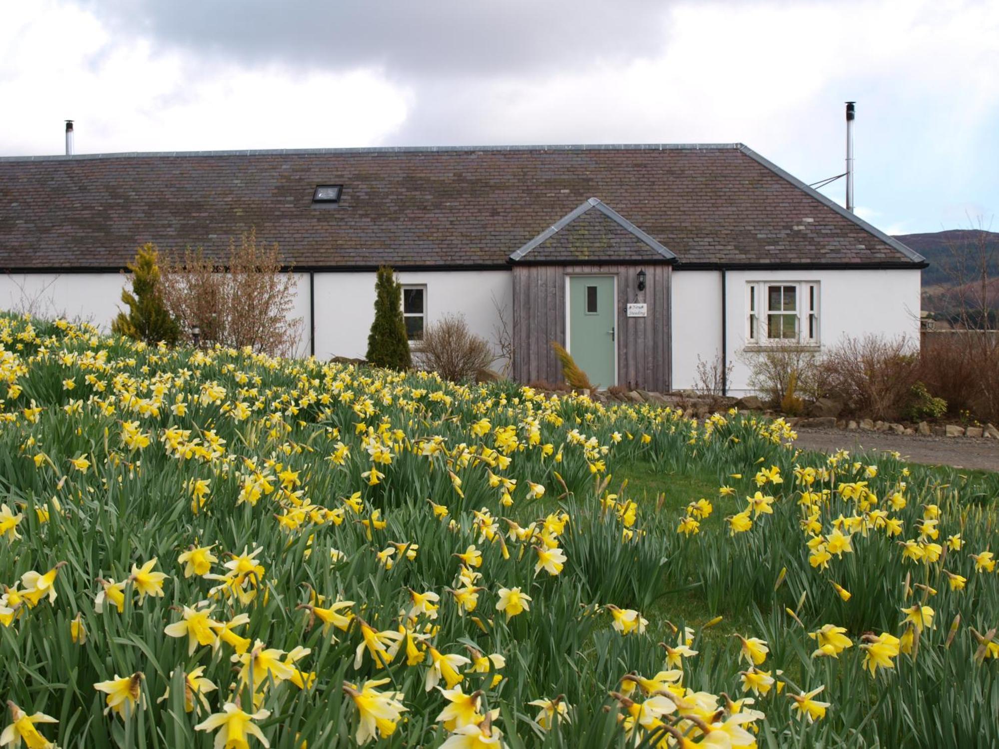 Dalnoid Cottages & Treehouses Nr Glenshee 外观 照片